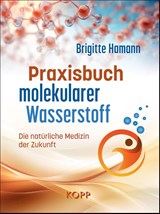 Praxisbuch molekularer Wasserstoff - Brigitte Hamann - 9783989920453