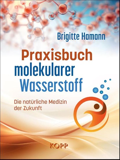 Praxisbuch molekularer Wasserstoff, Brigitte Hamann - Gebonden - 9783989920453