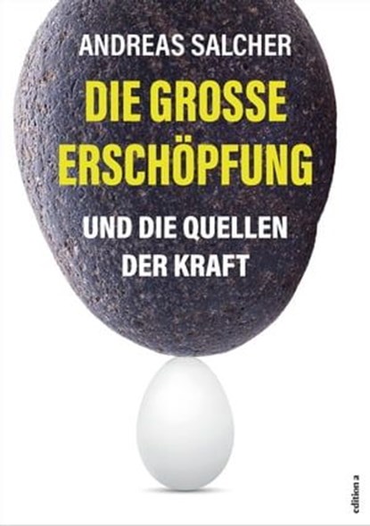 Die große Erschöpfung, Andreas Salcher - Ebook - 9783990016299