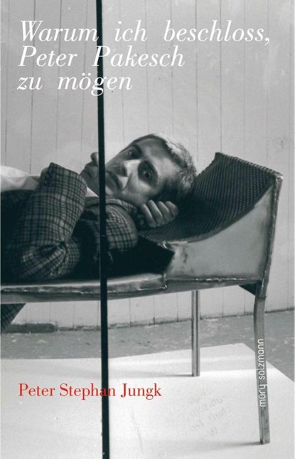 Warum ich beschloss, Peter Pakesch zu mögen, Peter Stephan Jungk - Gebonden - 9783990142127