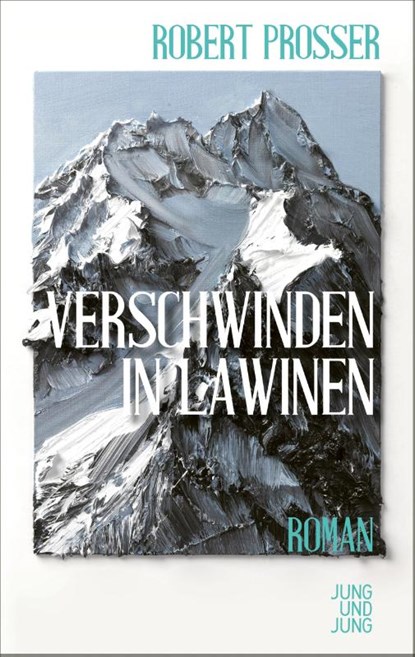 Verschwinden in Lawinen, Robert Prosser - Gebonden - 9783990272732