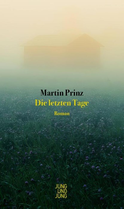 Die letzten Tage, Martin Prinz - Gebonden - 9783990274156
