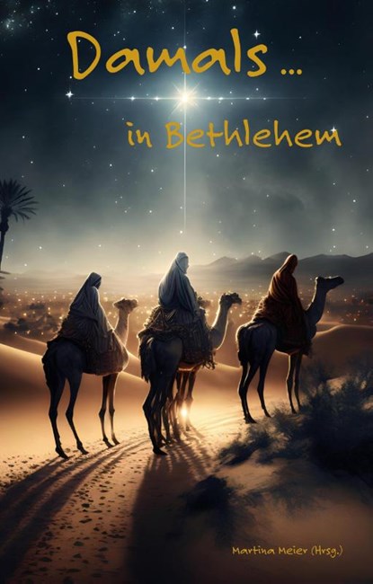 Damals ... in Bethlehem, Martina Meier - Paperback - 9783990511596