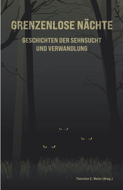 Grenzenlose Nächte - Geschichten der Sehnsucht und Verwandlung, Thorsten E. Meier - Paperback - 9783990513989