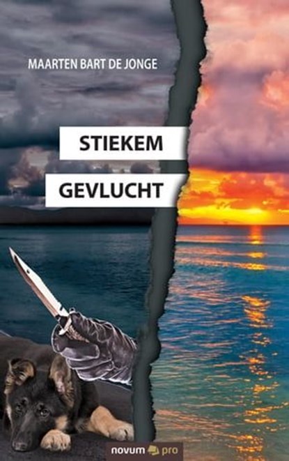 Stiekem gevlucht, Maarten Bart de Jonge - Ebook - 9783990644591