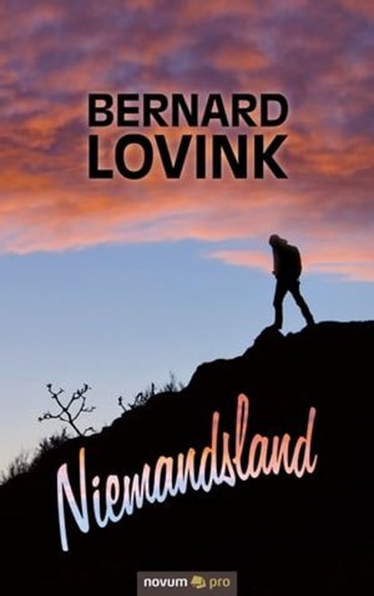 Niemandsland, Bernard Lovink - Ebook - 9783991070467