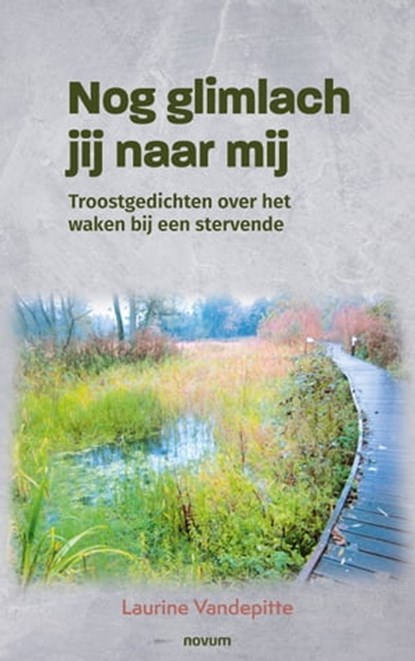 Nog glimlach jij naar mij, Laurine Vandepitte - Ebook - 9783991312031
