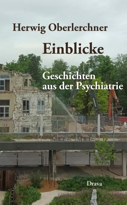 Einblicke, Herwig Oberlerchner - Paperback - 9783991381075