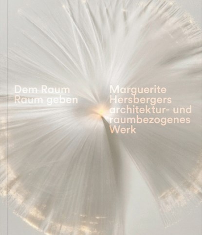 Dem Raum Raum geben, Sabine Schaschl ; Margit Weinberg Staber ; Burkhard Meltzer ; Marguerite Hersberger - Paperback - 9783991530510