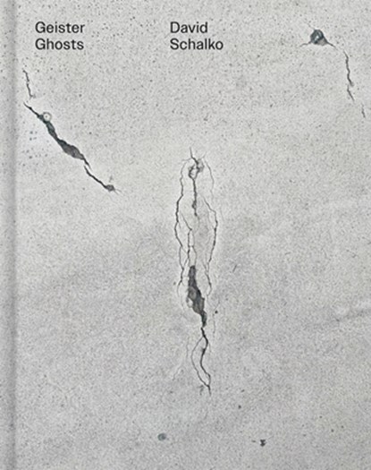 Geister Ghosts, David Schalko - Gebonden - 9783991531487