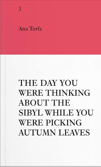 An Insert by Ana Torfs, Ana Torfs ; Sabine Folie ; Synne Genzmer - Paperback - 9783991532248