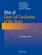 Atlas of Clear Cell Carcinoma of the Ovary | Junzo Kigawa ; Tsunehisa Kaku ; Toru Sugiyama ; Steven G Silverberg | 