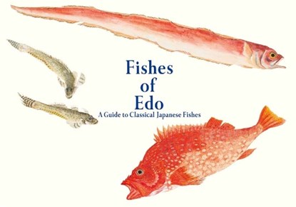 Fishes of Edo, Kazuhiko Tajima - Paperback - 9784756256522