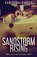 Sandstorm Rising, Daniel Maldonado - Paperback - 9784824124753