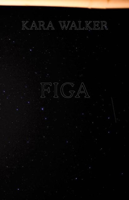 Kara Walker: Figa, Karen Marta - Gebonden - 9786185039325