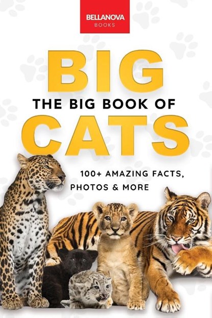 The Big Book of Big Cats, Jenny Kellett - Paperback - 9786192640637