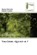 Tim Cook, Manuel Balverde ; Kahney Leander - Paperback - 9786207813155