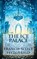 The Ice Palace, Francis Scott Fitzgerald - Paperback - 9786256310940