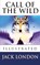 Call of the Wild, Jack London - Paperback - 9786256629912