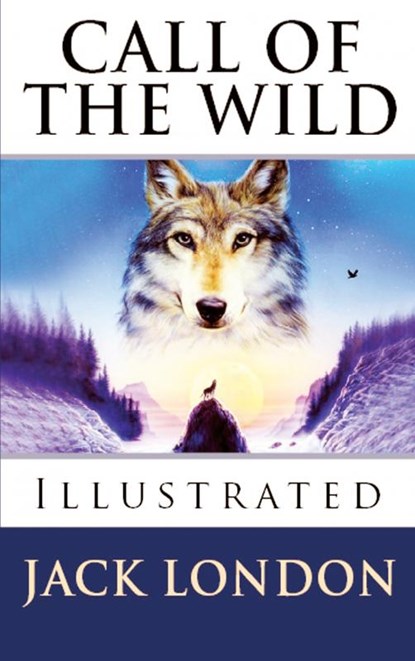 Call of the Wild, Jack London - Paperback - 9786256629912