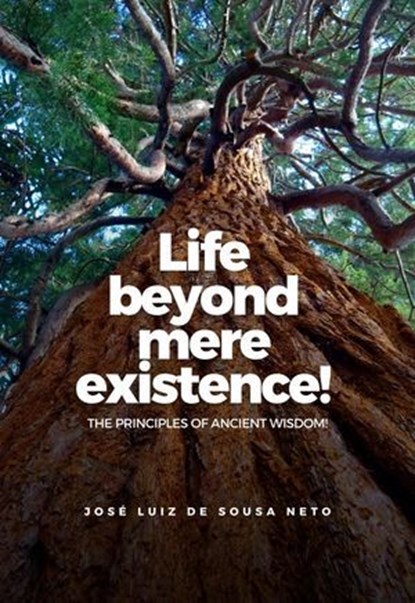Life Beyond Mere Existence!, JOSÉ LUIZ DE SOUSA NETO - Ebook - 9786527057260