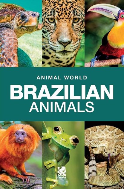 Animal World, Camelot Editora Editora - Paperback - 9786560950245