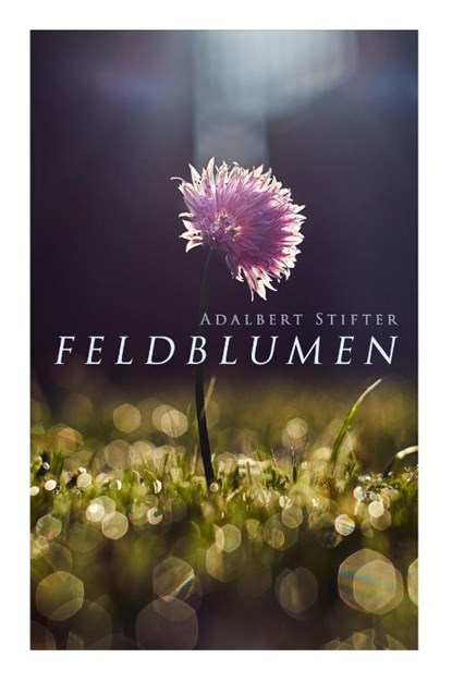 Feldblumen, Adalbert Stifter - Paperback - 9788026889885