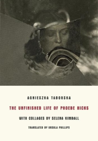 The Unfinished Life of Phoebe Hicks, Agnieszka Taborska - Paperback - 9788088628019