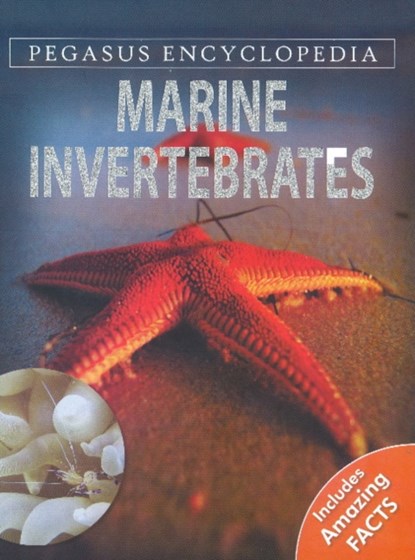 Marine Invertebrates, Pallabi B Tomar - Gebonden - 9788131912102