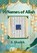 99 names of Allah Coloring Book, S Shaikh - Paperback - 9788169067607