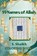99 names of Allah Coloring Book, S Shaikh - Gebonden - 9788169067737