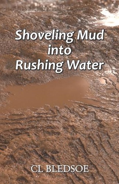 Shoveling Mud into Rushing Water, BLEDSOE,  CL - Paperback - 9788182538009