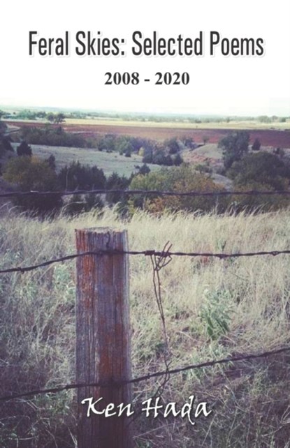 Feral Skies, HADA,  Ken - Paperback - 9788182538573