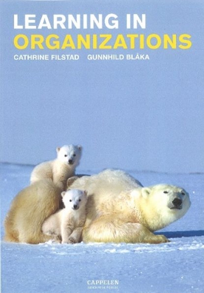 Learning in Organizations, Cathrine Filstad ; Gunnhild Blaka - Paperback - 9788202261726
