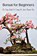 Bonsai for Beginners, Akira Sasaki - Paperback - 9788367110259