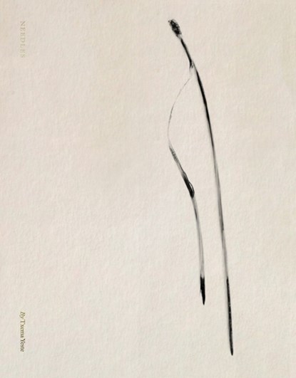 Txema Yeste: Needles, Txema Yeste - Paperback - 9788410290044