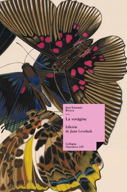 La vorágine, José Eustasio Rivera - Gebonden - 9788411264945