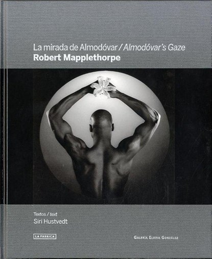 Almodovar's Gaze: Robert Mapplethorpe, Siri Hustvedt - Gebonden - 9788415303589