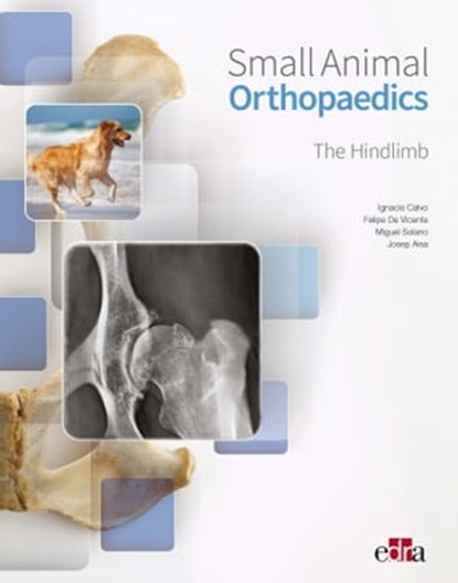 Small Animal Orthopaedics. The Hindlimb, Ignacio Calvo ; Felipe de Vicente ; Miguel Ángel Solano - Ebook - 9788418020278