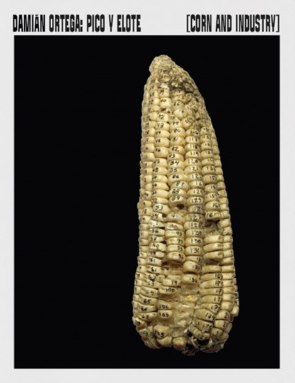 Corn and Industry, DAMIAN ORTEGA - Paperback - 9788419233707