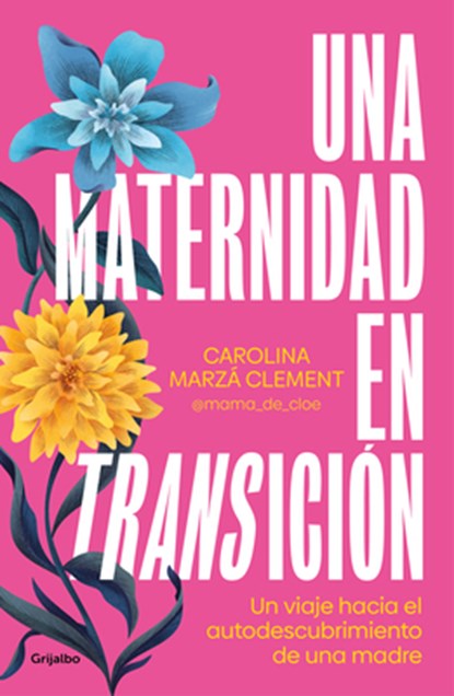 Una Maternidad En Transición / Maternity in Transition, Carolina Marzá Clement - Paperback - 9788425367946
