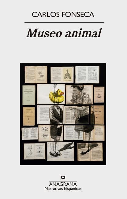 Museo Animal, Carlos Fonseca - Paperback - 9788433998408
