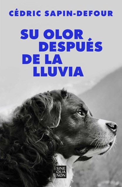 Su Olor Después de la Lluvia / Her Smell After the Rain, Cédric Sapin-Defour - Paperback - 9788466678766