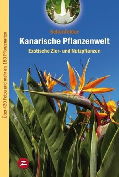 Kanarische Pflanzenwelt, Peter Schönfelder ; Ingrid Schönfelder - Ebook - 9788494838187