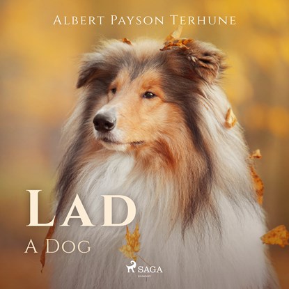Lad: A Dog, Albert Payson Terhune - Luisterboek MP3 - 9788726471854