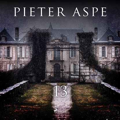 13, Pieter Aspe - Luisterboek MP3 - 9788726664126
