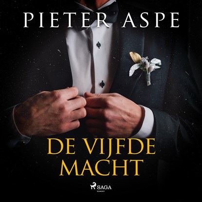 De vijfde macht, Pieter Aspe - Luisterboek MP3 - 9788726664140