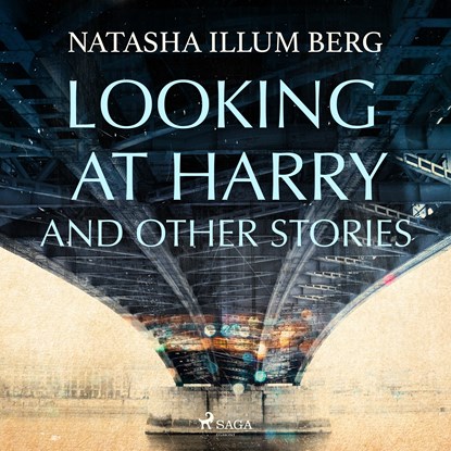 Looking at Harry and Other Stories, Natasha Illum Berg - Luisterboek MP3 - 9788727139463