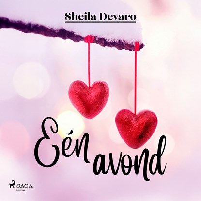 Eén avond, Sheila Devaro - Luisterboek MP3 - 9788727251035