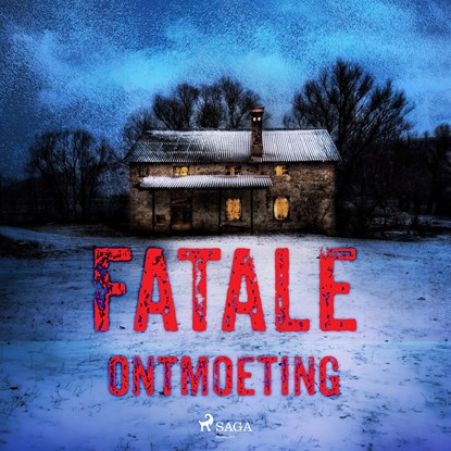 Fatale ontmoeting, Alexander Olbrechts ; Lisanne Stokreef ; Karel Bedert ; Roan Botman - Luisterboek MP3 - 9788728304532